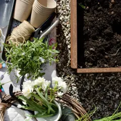 Redo att odla kryddor! Trädgårdsredskap, fröer, plantor och jord ligger redo för plantering.