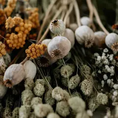 En bukett med torkade blommor, vallmofrökapslar och gula eterneller. Vackra detaljer som skapar en känsla av höst och natur.