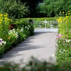 En grusväg leder till en vit grind, kantad av olika typer av blommor i gult, vitt och lila.