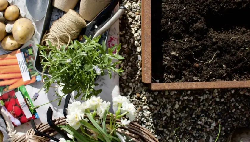 Redo att odla kryddor! Trädgårdsredskap, fröer, plantor och jord ligger redo för plantering.