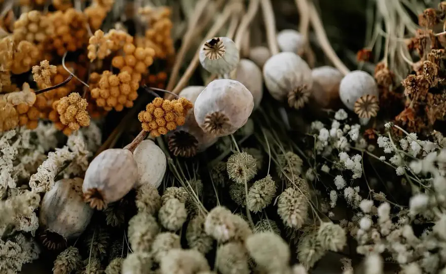 Torka blommor - Välj rätt metod för perfekt resultat!