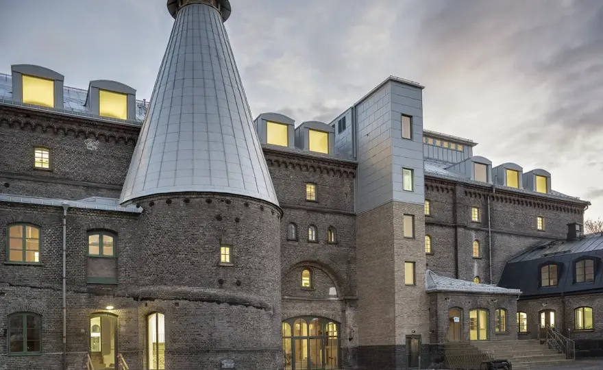 Jungfruhirs - Så lyckas du med det arkitektoniska gräset