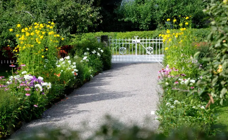 Välj rätt blommor - Så lyckas du med din trädgård!