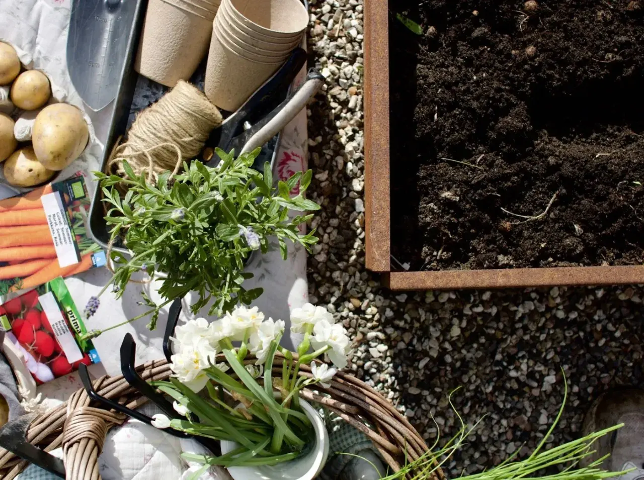 Redo att odla kryddor! Trädgårdsredskap, fröer, plantor och jord ligger redo för plantering.