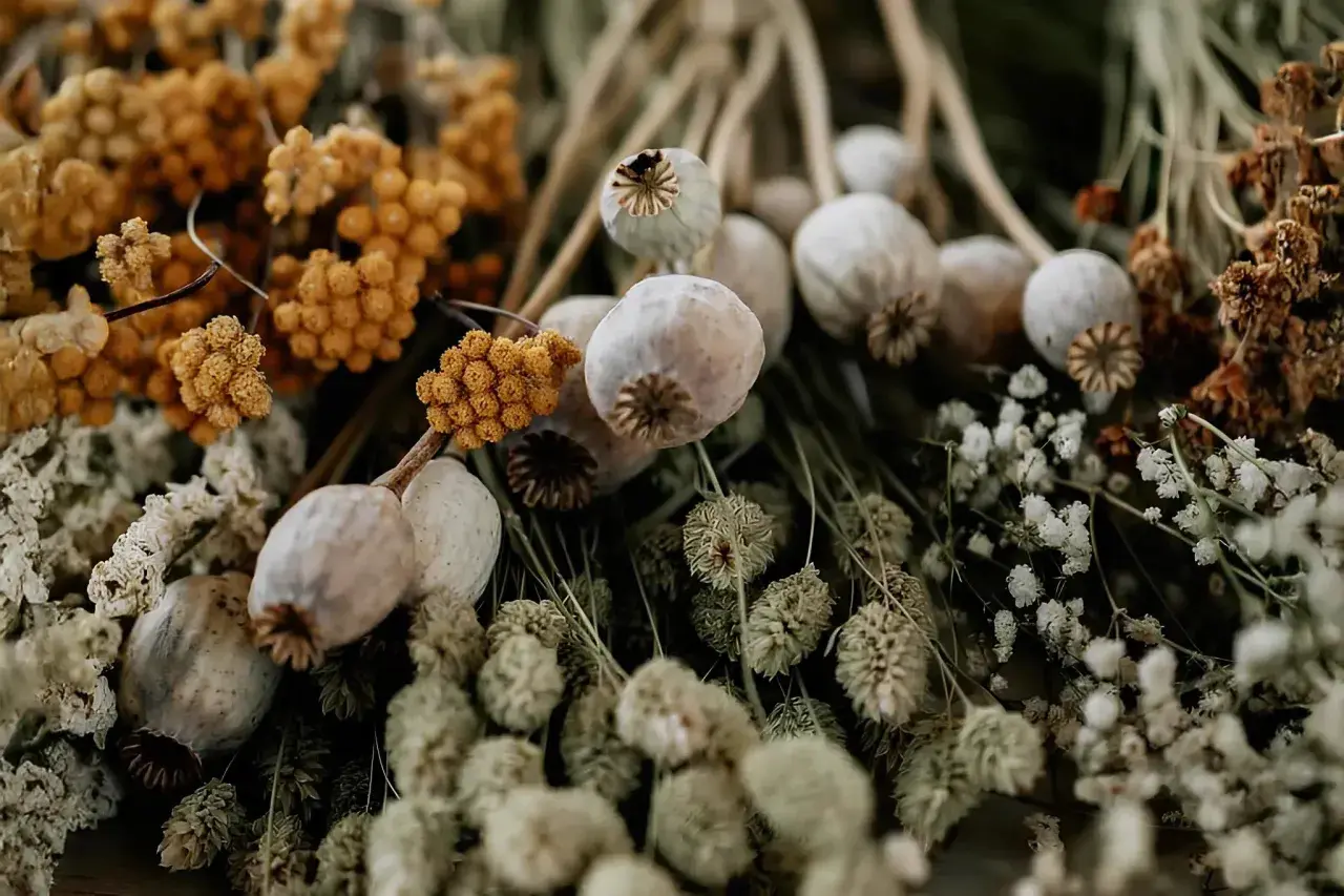 En bukett med torkade blommor, vallmofrökapslar och gula eterneller. Vackra detaljer som skapar en känsla av höst och natur.
