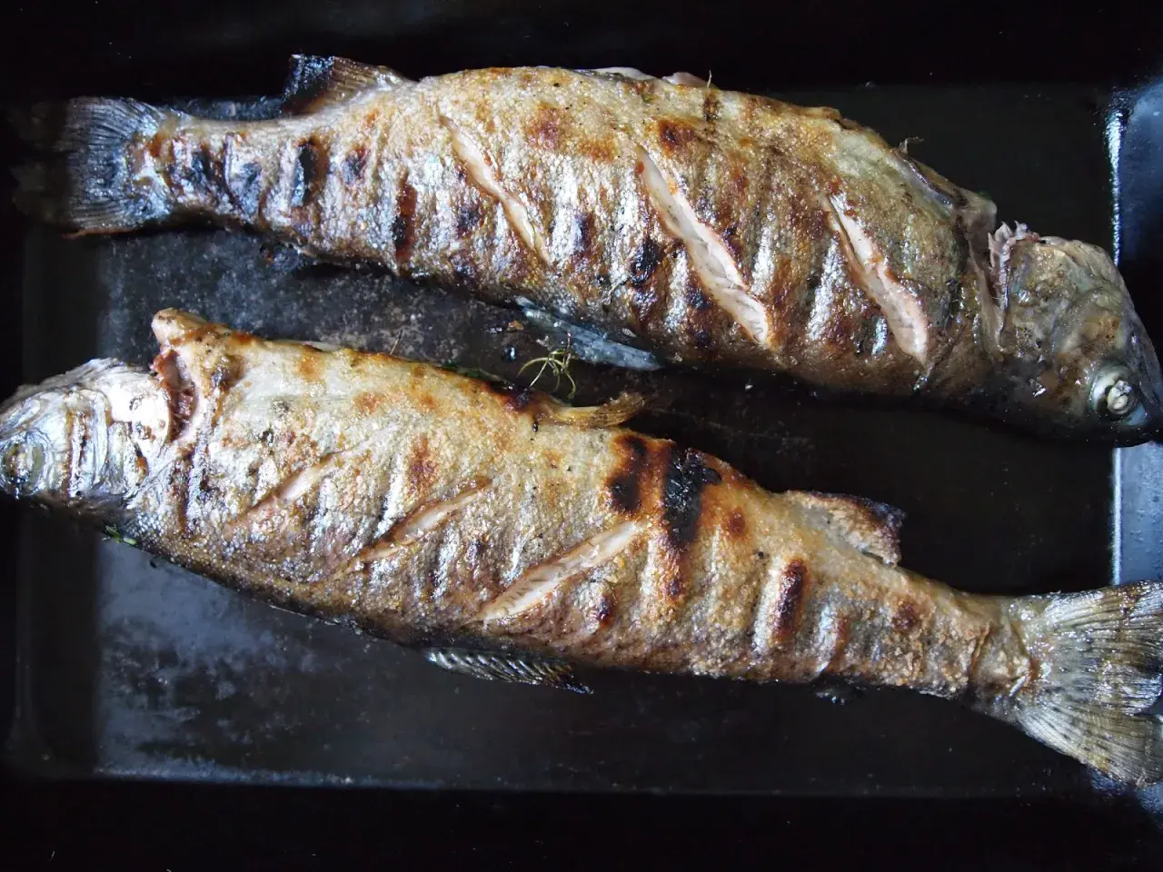 Två grillade saltlake fiskar ligger på en svart plåt. De har fått fina grillränder och ser saftiga ut.