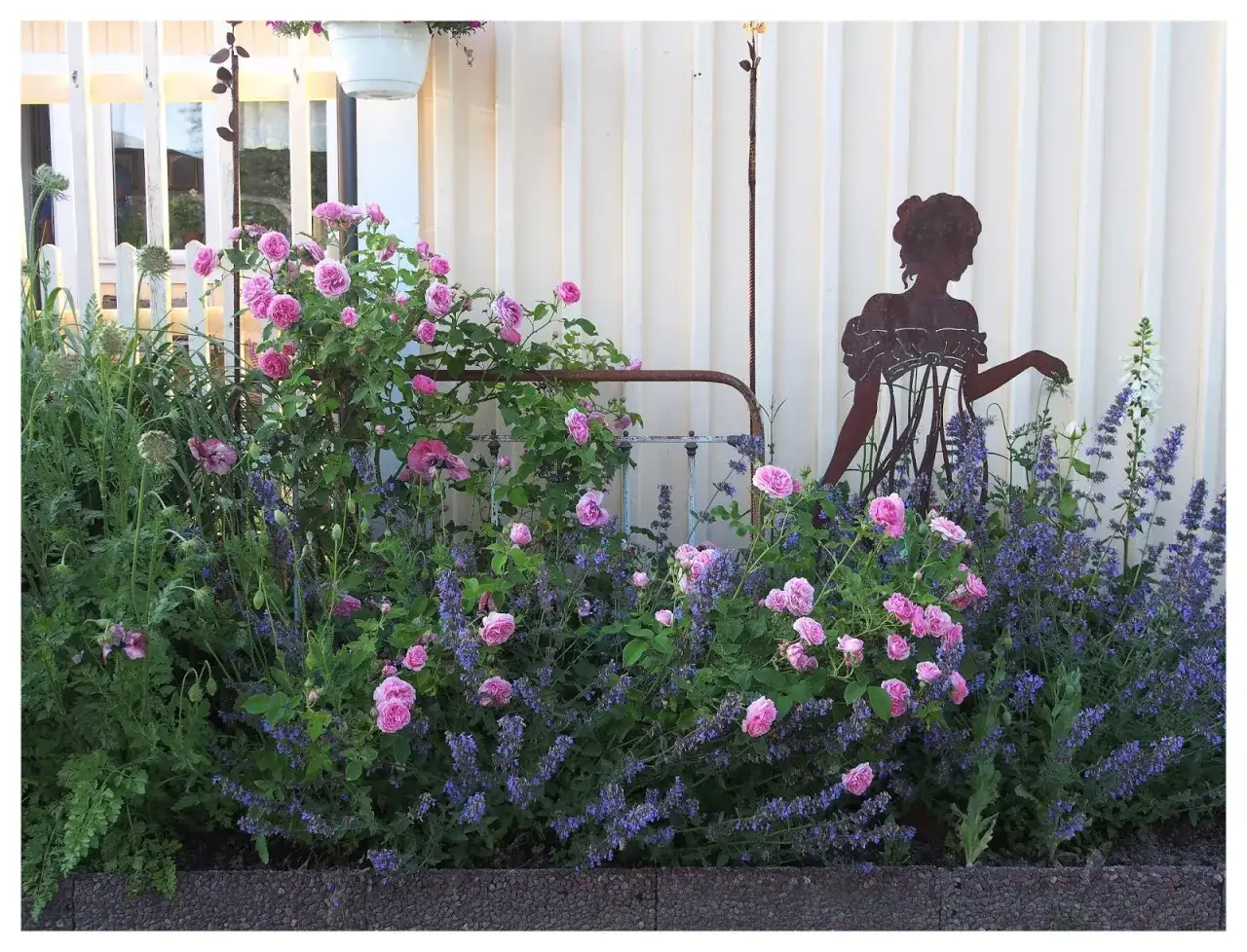 En blomstrande tr&auml;dg&aring;rd med rosa rosor och lila lavendel. En silhuett av en kvinna sitter i en stol, som om hon njuter av lugnet. En gammal s&auml;ngram fungerar som st&ouml;d f&ouml;r kl&auml;tterrosor.
