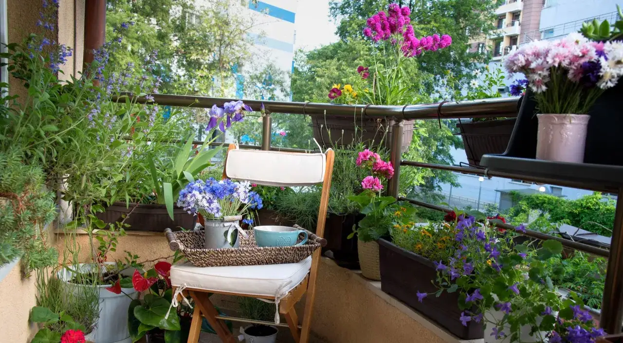 En stol med en bricka med blommor och en kopp p&aring; en balkong fylld med gr&ouml;nska och blommor.