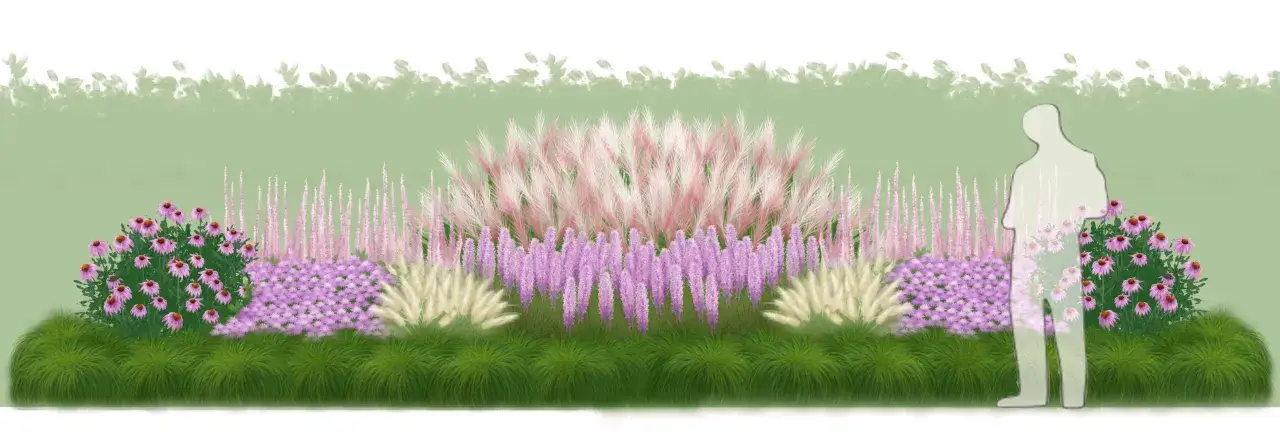 En vacker rabatt med rosa solhatt, lila blommor och gr&auml;s. En siluett av en person, kanske solhatt Magnus, st&aring;r bredvid.
